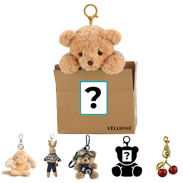 Veloisse Mystery Charm Box